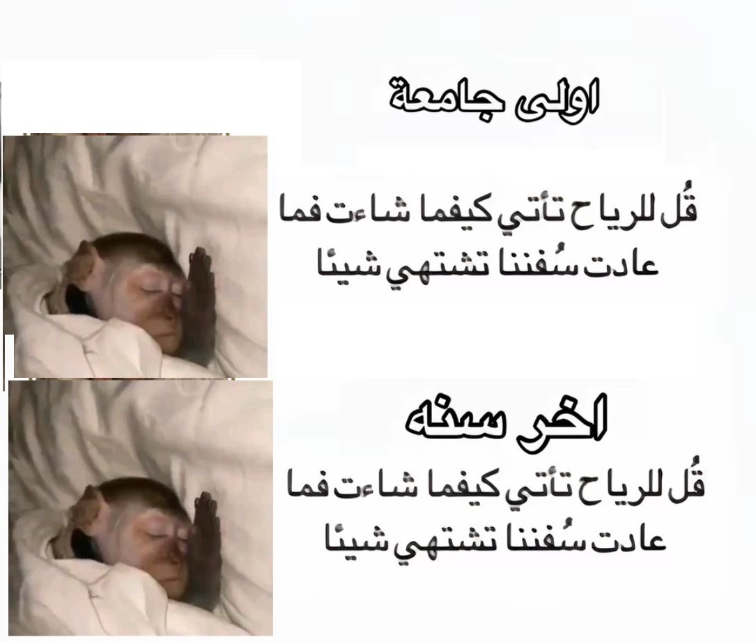 الرجل الأشقر | BLOND MAN tweet media