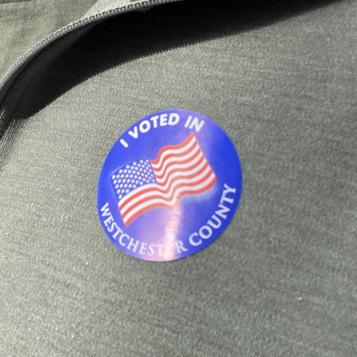 #HarrisWalz2024 Proud to cast my vote today. For my country. For my daughter. For sanity. Let’s go.