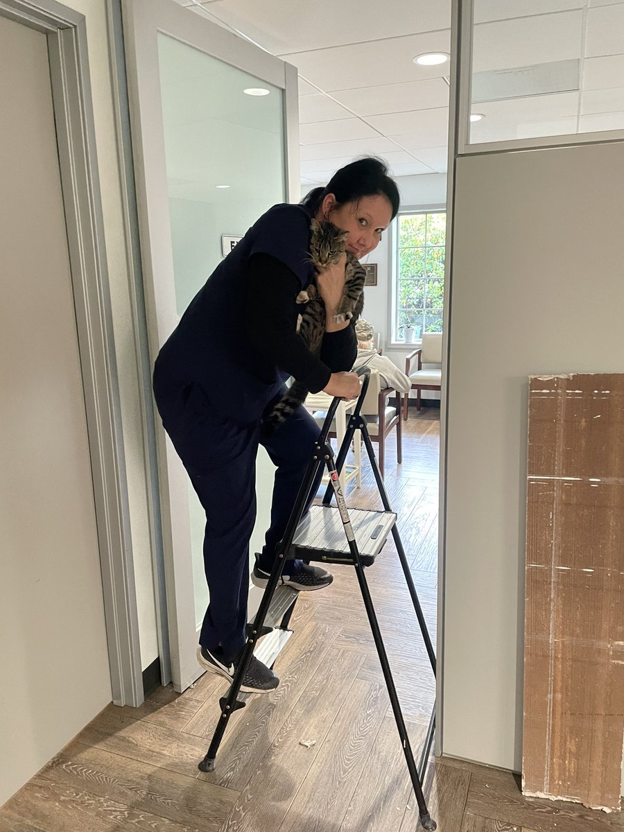 drcostantino tweet media