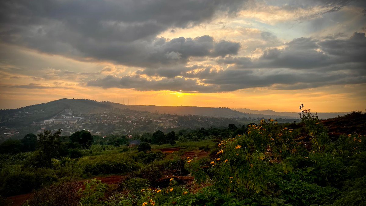 Finham 6th Form tweet media