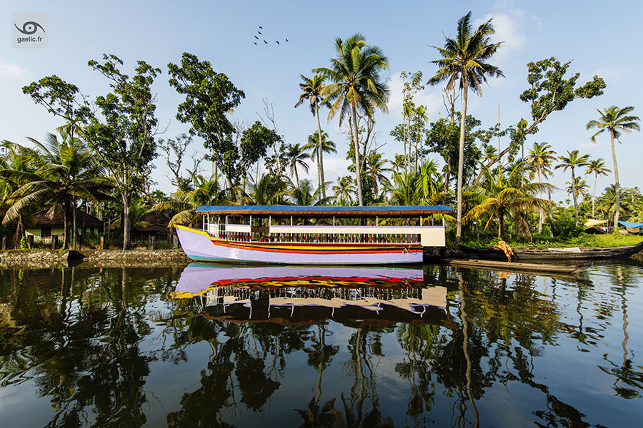 gaelic69's tweet photo. Freshly painted backwaters boat 

2023-11-18 India, Kerala, Alappuzha (Alleppey)
https://t.co/WqY7zNihmJ

#travel #india #photography #streetphotography #landscape #gaelic69 https://t.co/HTHw9ws055