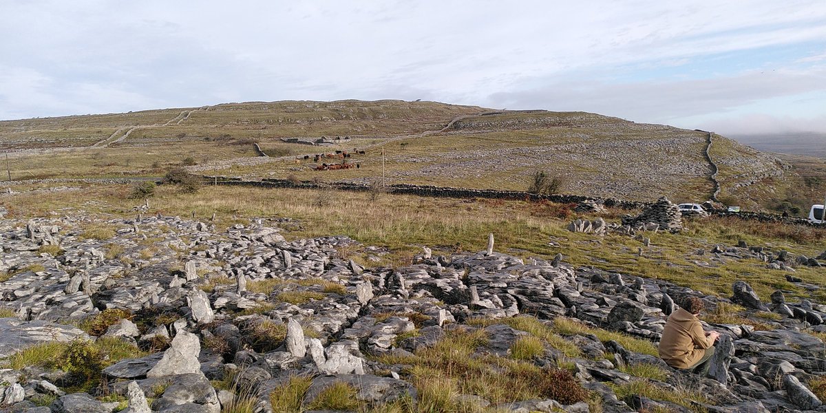 Richard Lockett tweet media