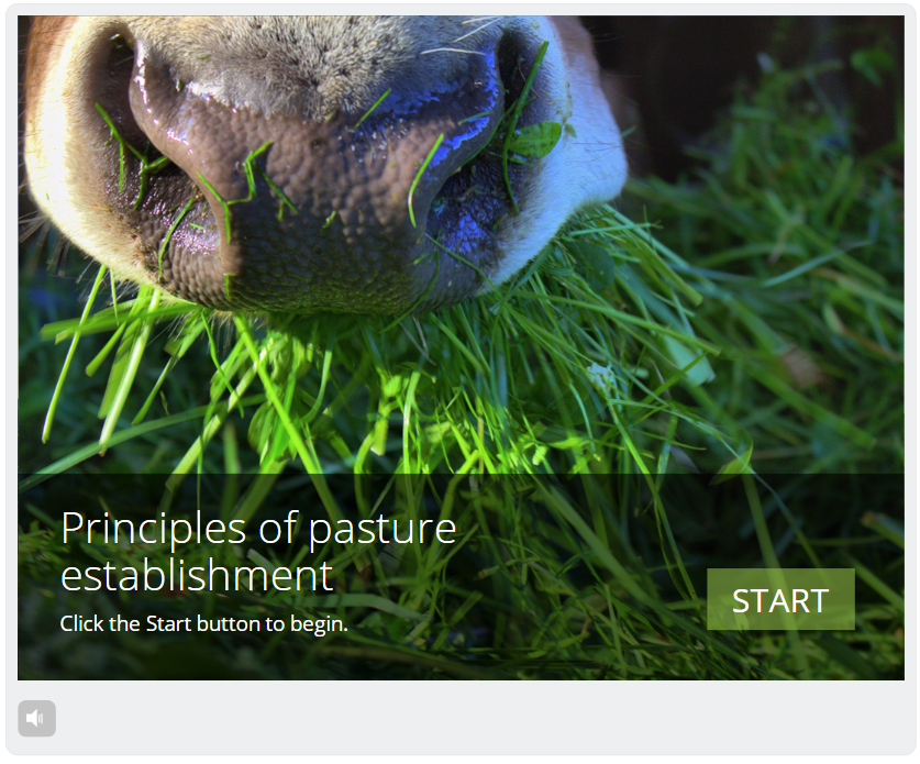 In this B+LNZ e-learning module learn about the benefits of establishing new pasture, best practice around preparation and sowing and the factors that will lead to the successful establishment of new pasture. Start learning here: beeflambnz.com/knowledge-hub/…
