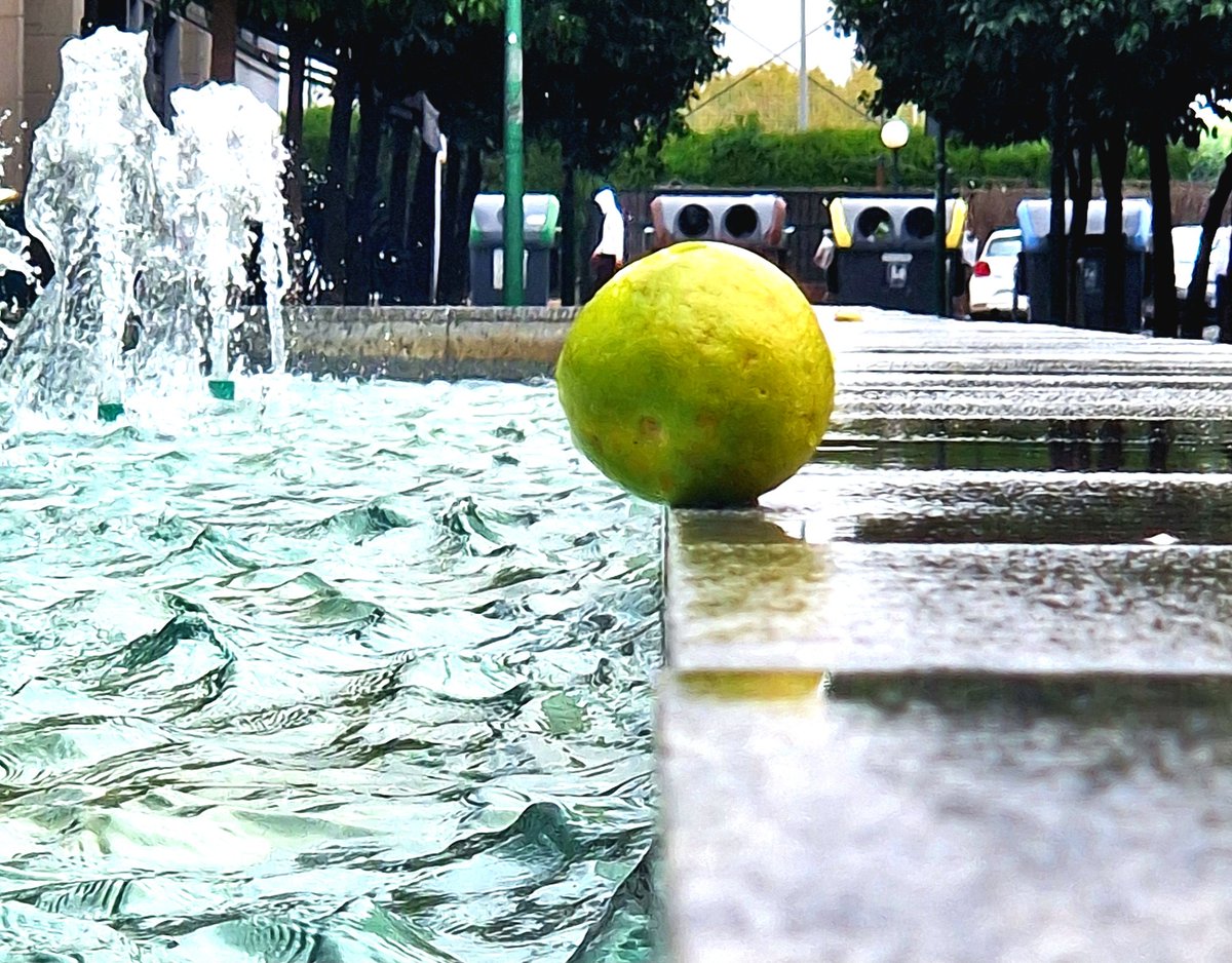 45 minutos estuve esperando a ver si se tiraba al agua y final ná.