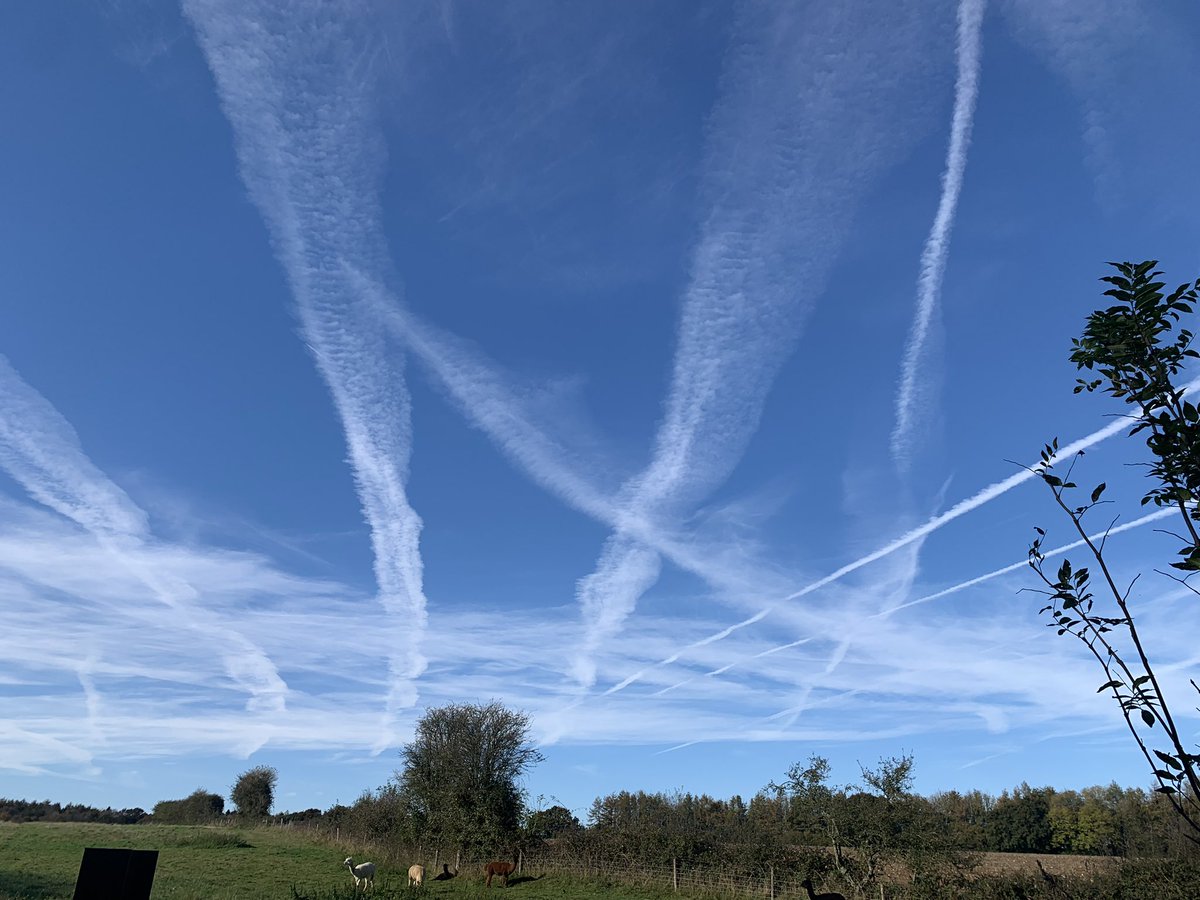 kobmakeup's tweet photo. @BGatesIsaPyscho It’s really awful… #chemtrails https://t.co/U01XqNl58Q