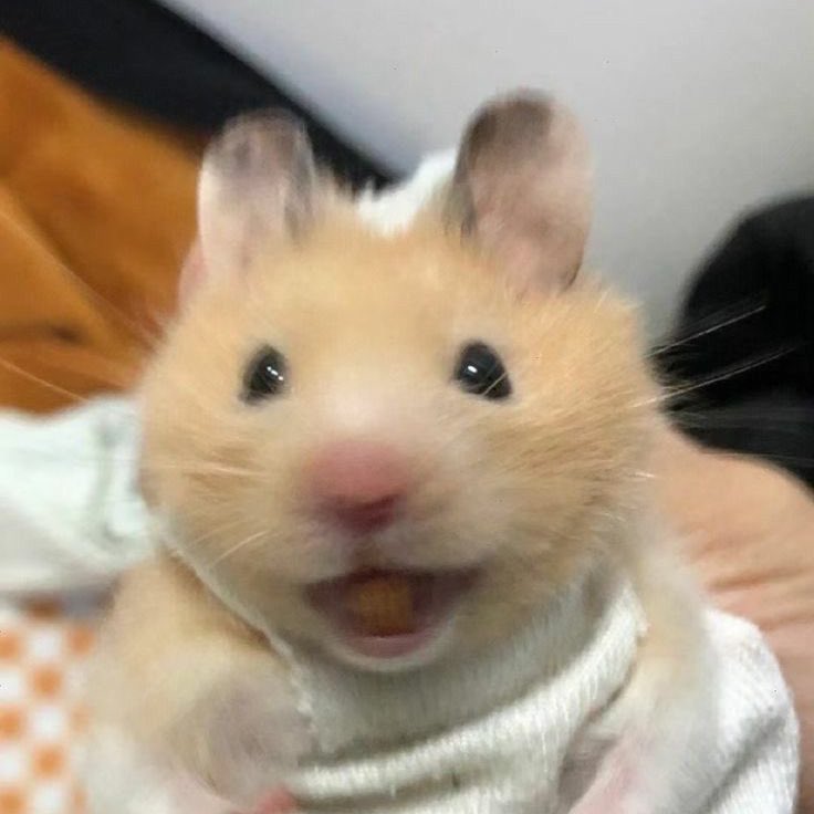 jullen27202's tweet image. YOU ALL 😭😭😭😭😭😭😭😭😭😭😭😭😭😭😭😭😭😭😭😭😭😭😭😭😭😭😭😭😭😭😭😭😭😭😭😭😭😭😭😭😭😭😭😭😭😭😭😭😭😭😭😭😭😭😭😭😭😭😭😭😭😭😭😭😭😭😭😭😭😭😭😭😭😭😭😭😭😭😭😭😭😭😭😭😭😭😭😭😭😭😭😭😭😭😭😭😭😭😭😭😭😭😭😭😭😭😭😭😭😭😭😭😭😭😭😭😭😭😭😭😭😭😭😭😭😭😭😭😭😭😭😭😭😭😭😭