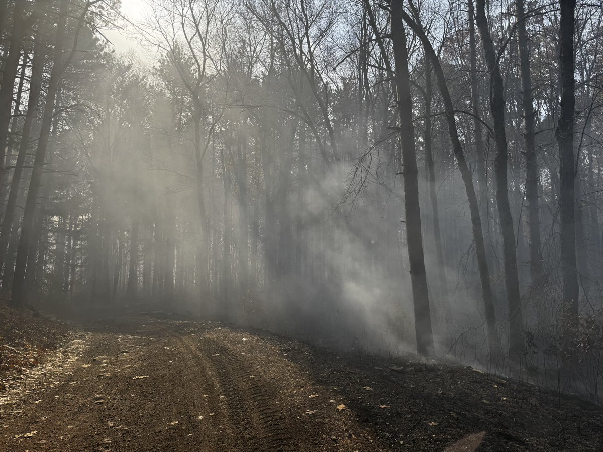 ValleyBuff's tweet image. Photos taken by me at the Middleton forest fires