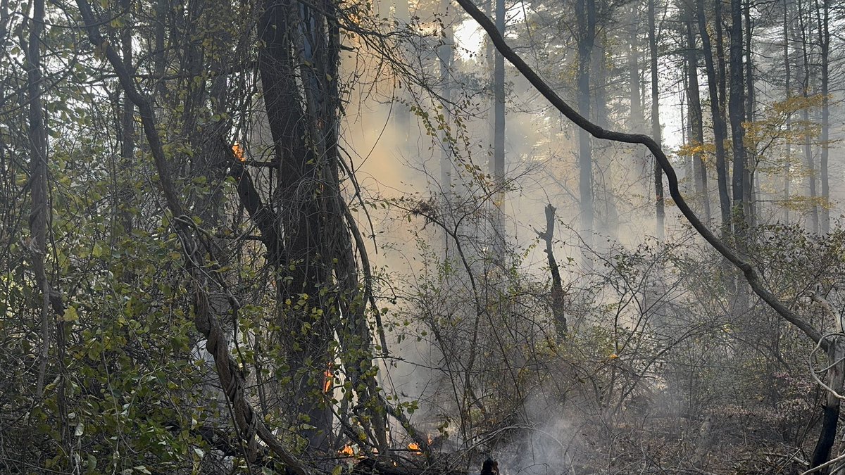 ValleyBuff's tweet image. Photos taken by me at the Middleton forest fires