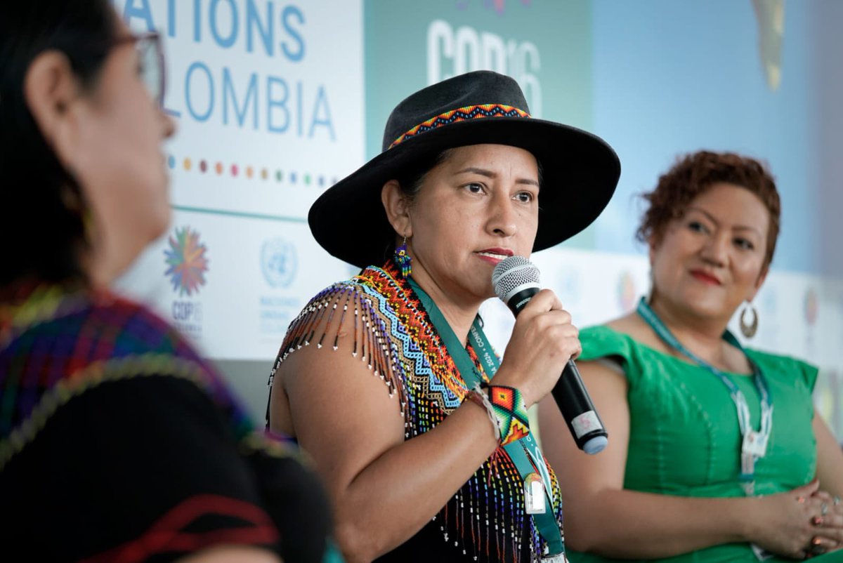 ONUMujeresCol's tweet photo. “Somos las más impactadas por el cambio climático y muchas veces no somos tenidas en cuenta en la toma de decisiones”, fue una de las poderosas conclusiones del conversatorio del Tejido Nacional de Mujeres Indígenas en Colombia y @codacop en la #COP16Colombia #MujeresEnLaCOP16 https://t.co/MzHwyvw23Y