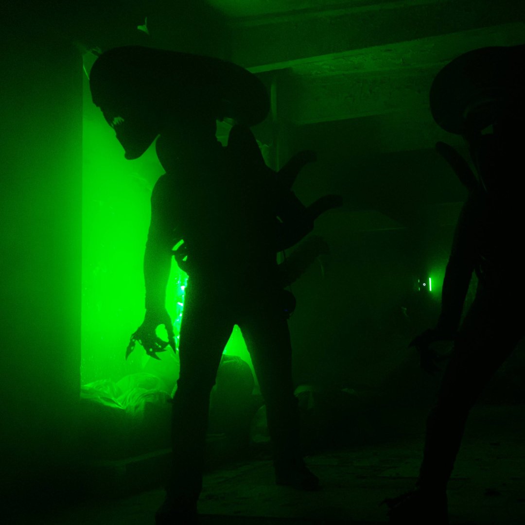 Harry Badger tweet media