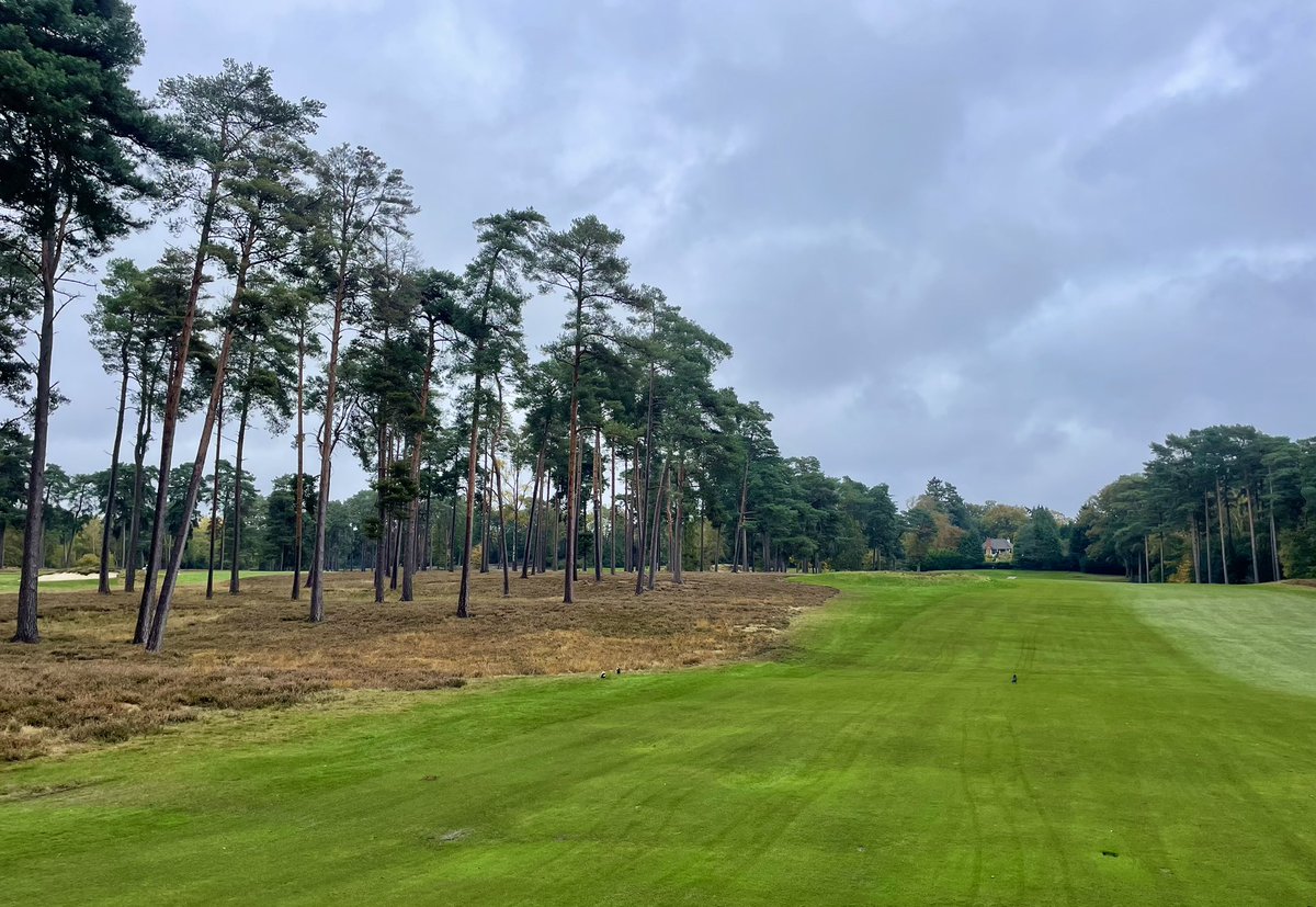 Joe Neale tweet media