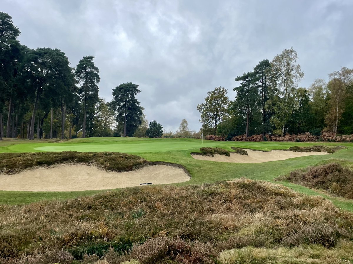 Joe Neale tweet media