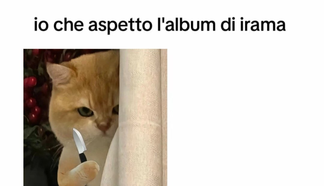 Muoviti stronzo