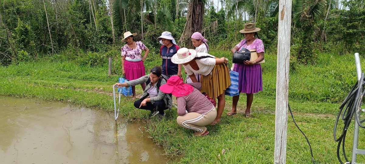 GENERIS Bolivia tweet media