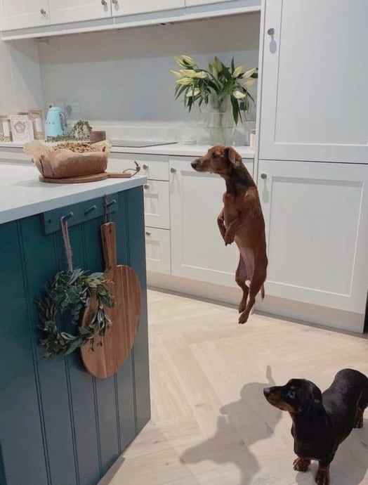 even960's tweet image. Happy hour with Even Storbråten!