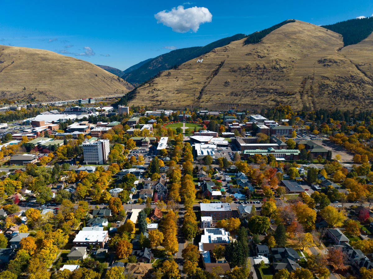 Montana Grizzlies tweet media