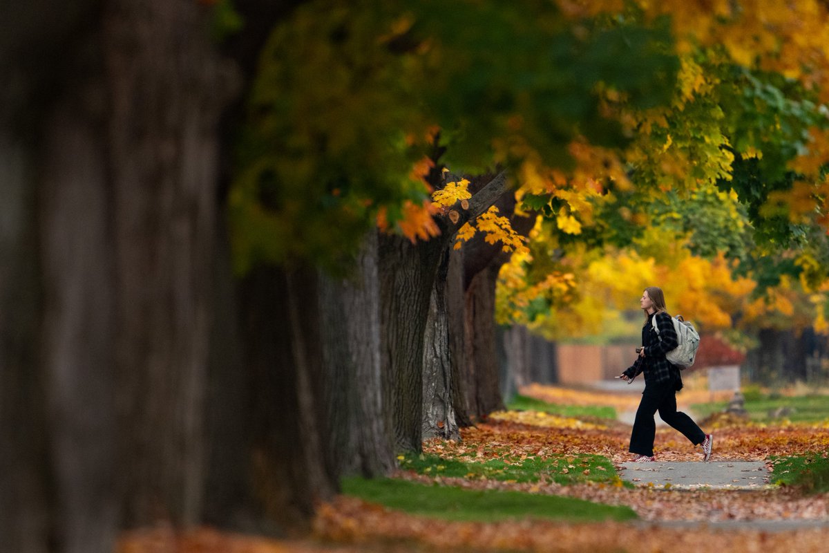 Montana Grizzlies tweet media