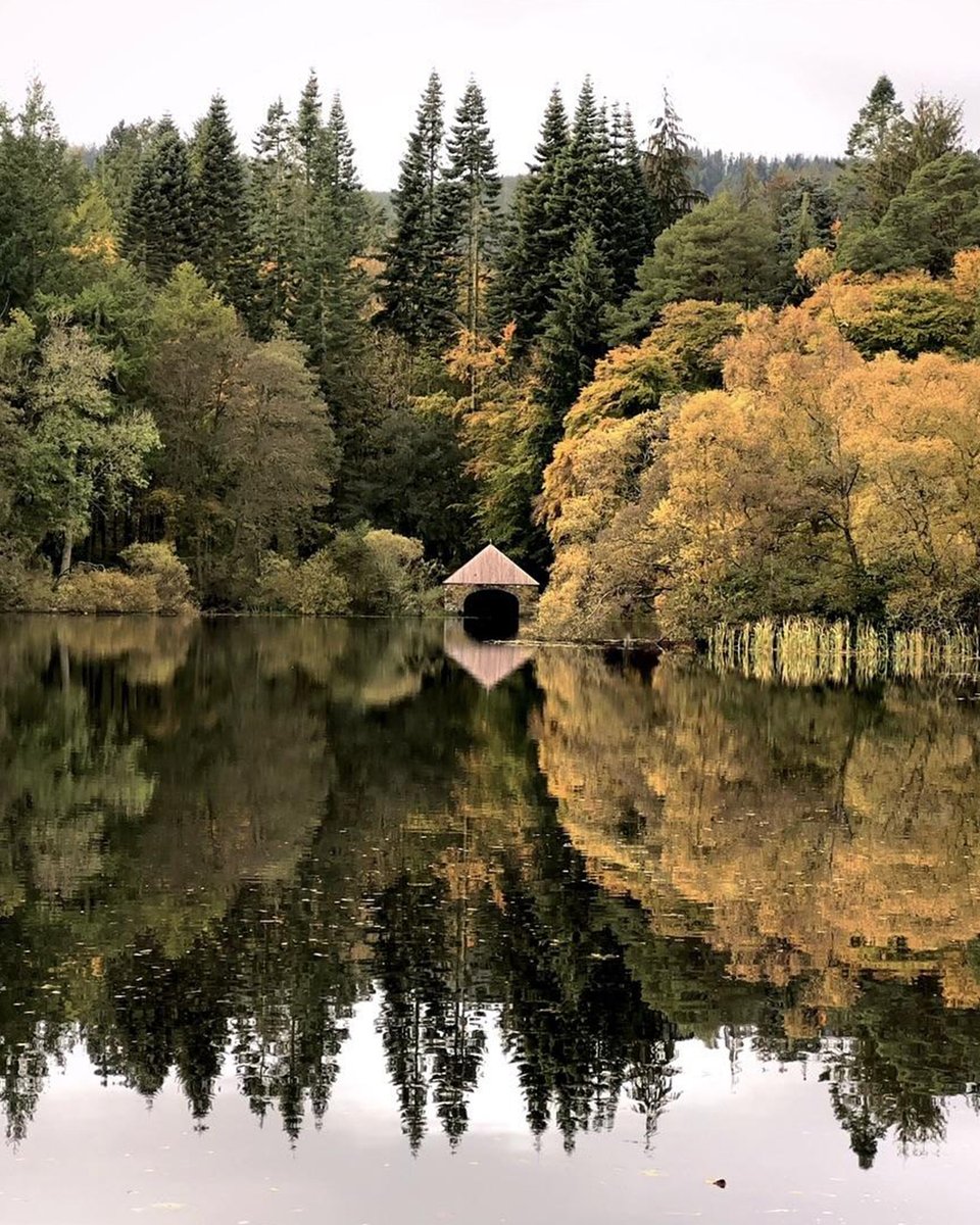 HereScotland's tweet photo. Celebrating the stunning autumnal colours that surround us in the South of Scotland. We'd love to see your pics! 🍂😍🍁
📍Bowhill Estate, Scottish Borders
📷jedsheriff_photos_scotland
#Scotland https://t.co/GBj4Fb3Fvp
