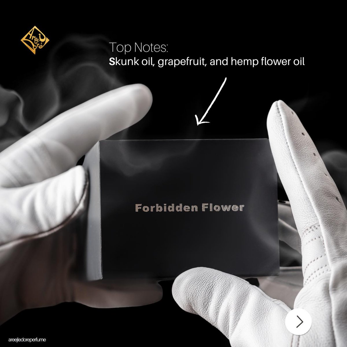 areejledore's tweet photo. Combining skunk oil, grapefruit, and hemp flower oil at the top, it's a unique mix of modern and ancient scents.

Forbidden Flower 🤤

#Areejledore #Areejledoré #Muskcollection https://t.co/xjHdTDLixz
