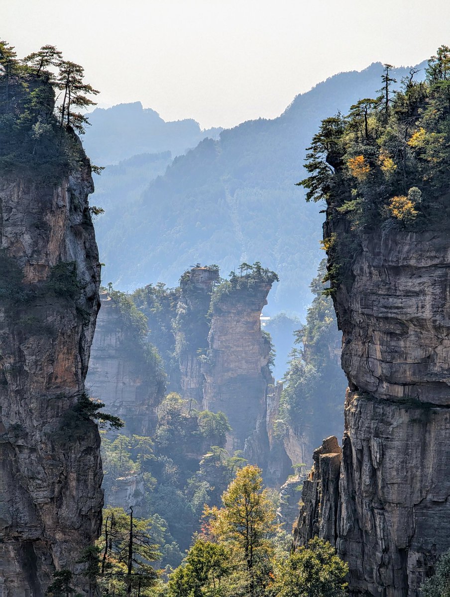 franlopezdez's tweet photo. Zhangjiajie Mountains
Vol. I
28/10/2024 https://t.co/CJIBhRQRdf