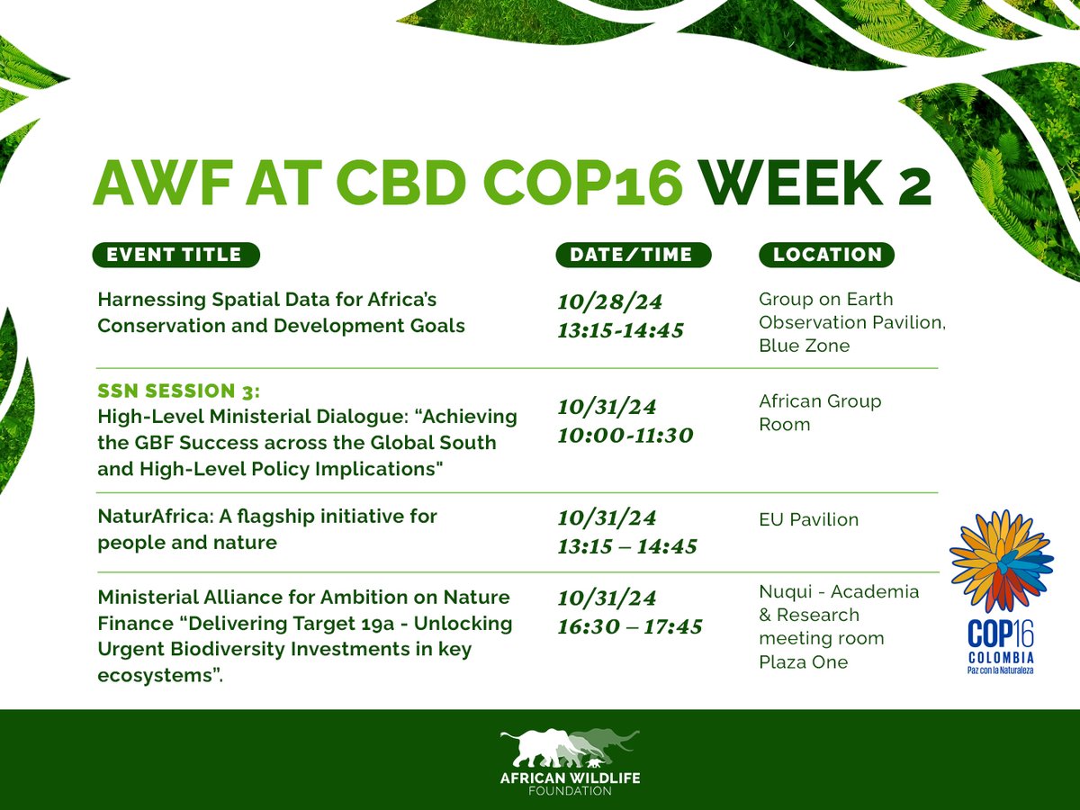 Kaddu Sebunya (@awfceo) on Twitter photo It's great to see this powerful message from our Trustee, H.E. <a href="/HMDessalegn/">Hailemariam Dessalegn</a>, who highlights the often-overlooked link between biodiversity and global security. In his recent op-ed, he emphasizes a vital point: conserving biodiversity isn’t just about safeguarding ecosystems; it’s It's great to see this powerful message from our Trustee, H.E. <a href="/HMDessalegn/">Hailemariam Dessalegn</a>, who highlights the often-overlooked link between biodiversity and global security. In his recent op-ed, he emphasizes a vital point: conserving biodiversity isn’t just about safeguarding ecosystems; it’s