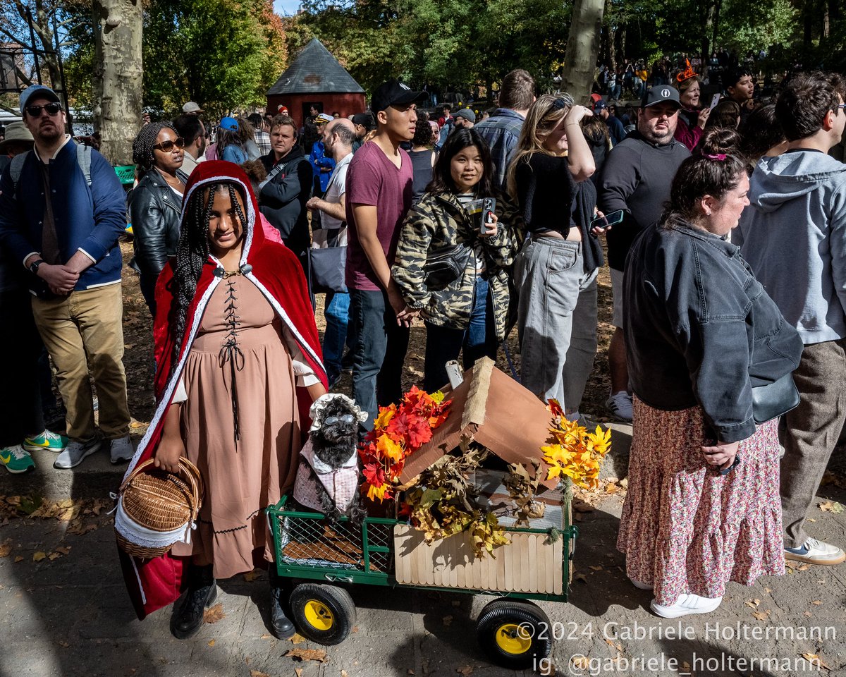 GabyLikesPhotos's tweet image. Dogs truly are therapeutic. Fun assignment for @brooklynpaper covering the #GreatPUPkin #dogcostume contest, receiving loads of puppy love. Follow link for more cuteness overload pics and story. #PupsOfBrooklyn #Halloween