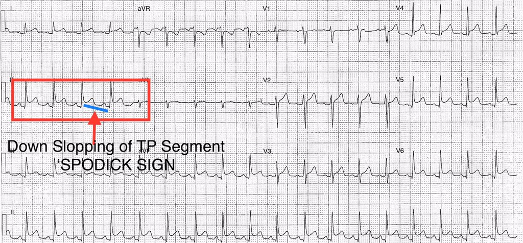 Tariq Mir 🇵🇰 tweet media