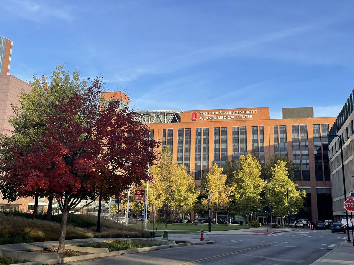 It’s a beautiful day to save lives 🩺 
…and check out OSU Urology!

🙆‍♀️ Virtual tour: Linked in bio
🙌 Program Q+A: Instagram Saved Highlights 
❗️Program info: medicine.osu.edu/departments/ur… 
🙆‍♂️ Innovations: wexnermedical.osu.edu/departments/in… 

#UroMatch #Match2025 #AUAMatch #UroMatch2025 #UroRes