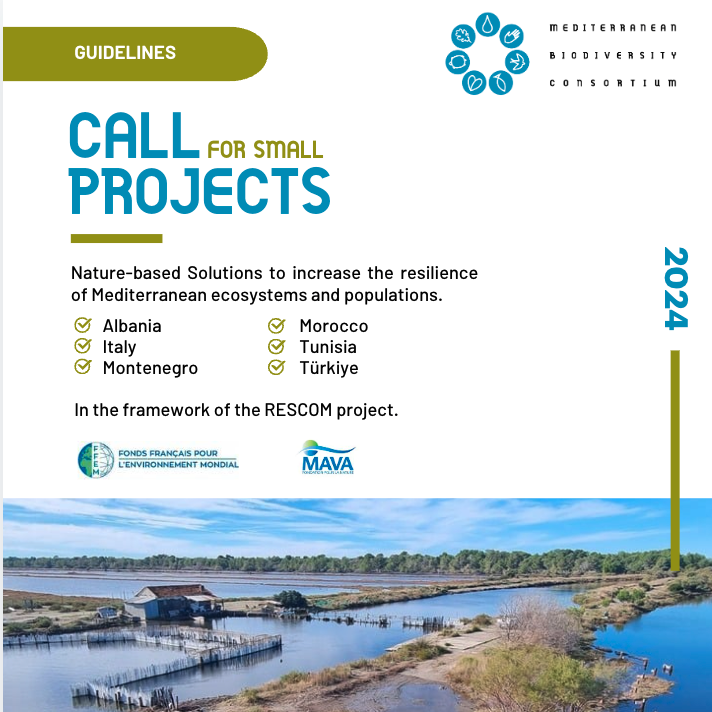 The Mediterranean Biodiversity Consortium launches a Call for Small Projects!  

🌍 Eligible countries: 
🇦🇱 Albania | 🇮🇹 Italy | 🇲🇪 Montenegro | 🇲🇦 Morocco | 🇹🇳 Tunisia | 🇹🇷 Türkiye 
 
💰€20,000 per project
📅 Deadline: December 8, 2024 

Learn more ➡️ bit.ly/4fj5xfa