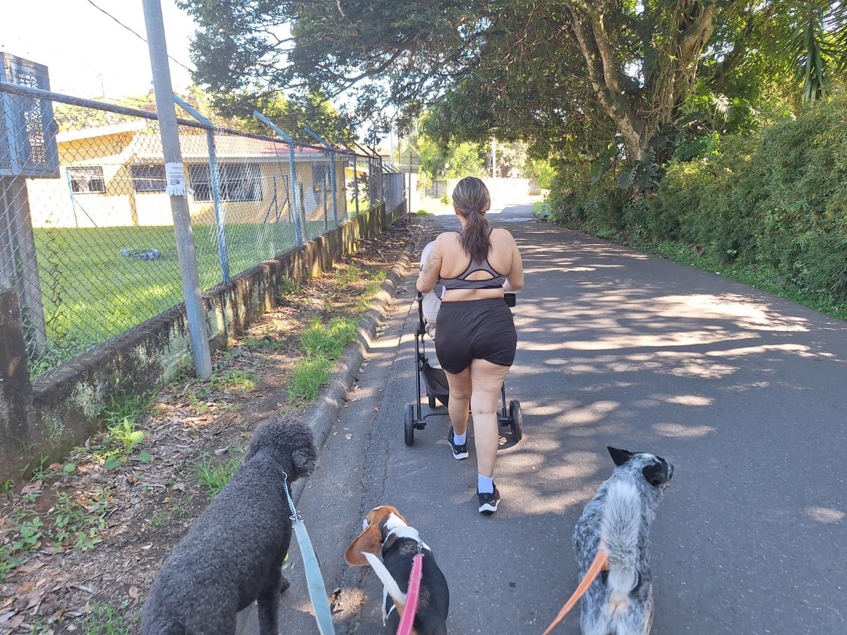 karina64t's tweet photo. @twaniimals https://t.co/DWYivunVnr
