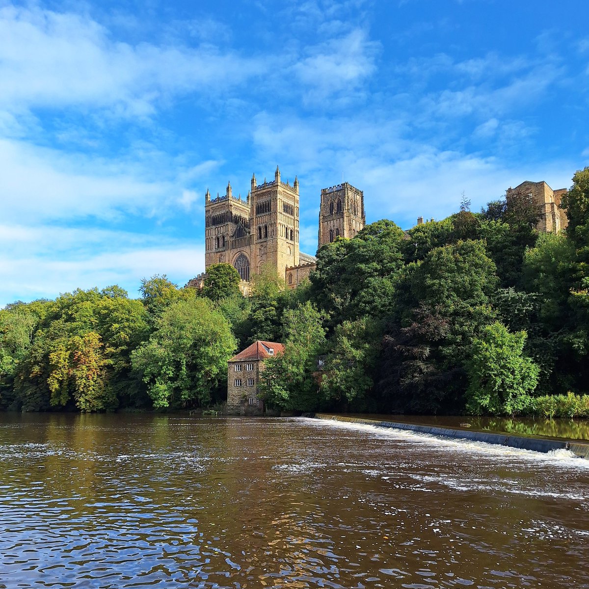 Sarah Bell ♠️🏳️‍🌈 tweet media