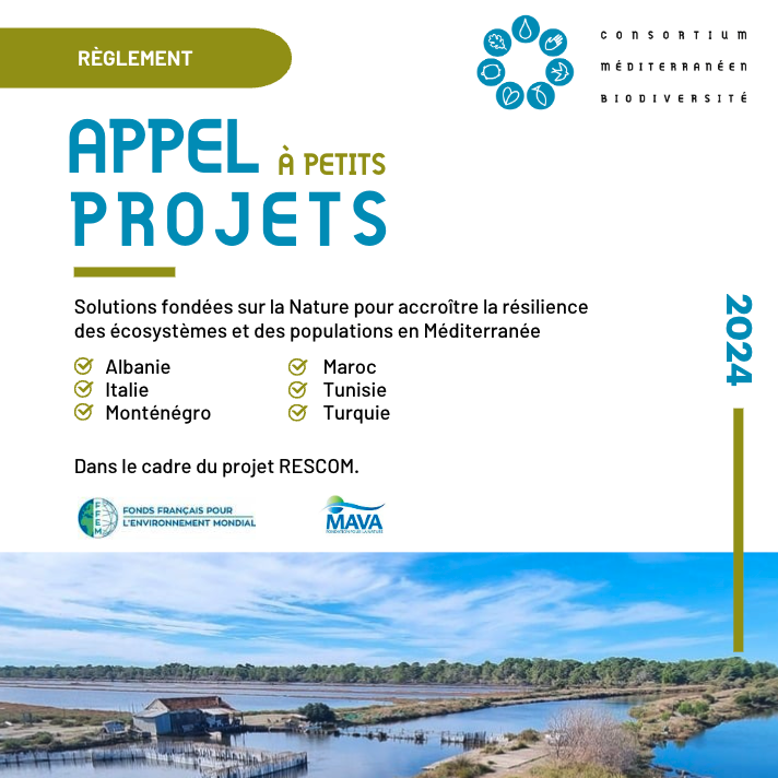 MedBiodiversity's tweet photo. Le Consortium Méditerranéen pour la Biodiversité lance officiellement son Appel à Petits Projets!  

🌍 Pays éligibles : 
Albanie, Italie, Monténégro, Maroc, Tunisie, Turquie. 

💰20,000€ par projet. 
📅 Date limite : 8 décembre 2024 
 
En savoir plus ➡️ https://t.co/Pe7aTFUBQ9 https://t.co/Jzm8v1mkvq