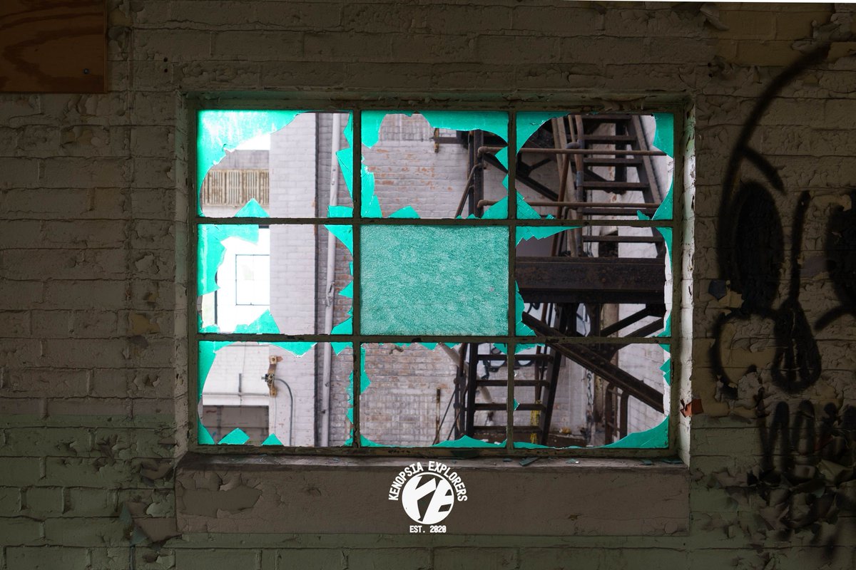 Kenopsia Explorers tweet media