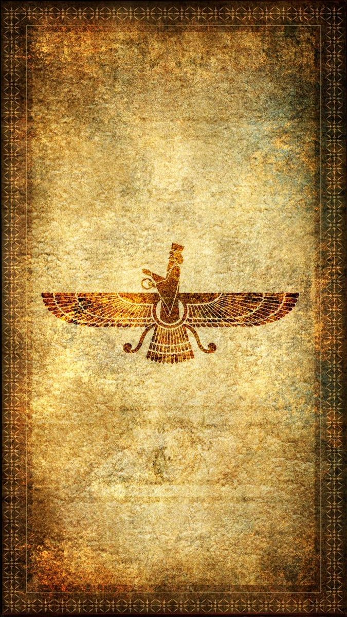 اِلهہ🦋 tweet media