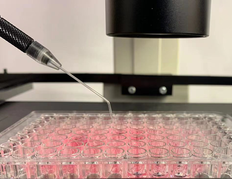 Science Magazine tweet media