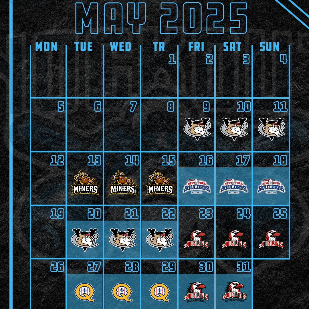 New England Knockouts tweet media