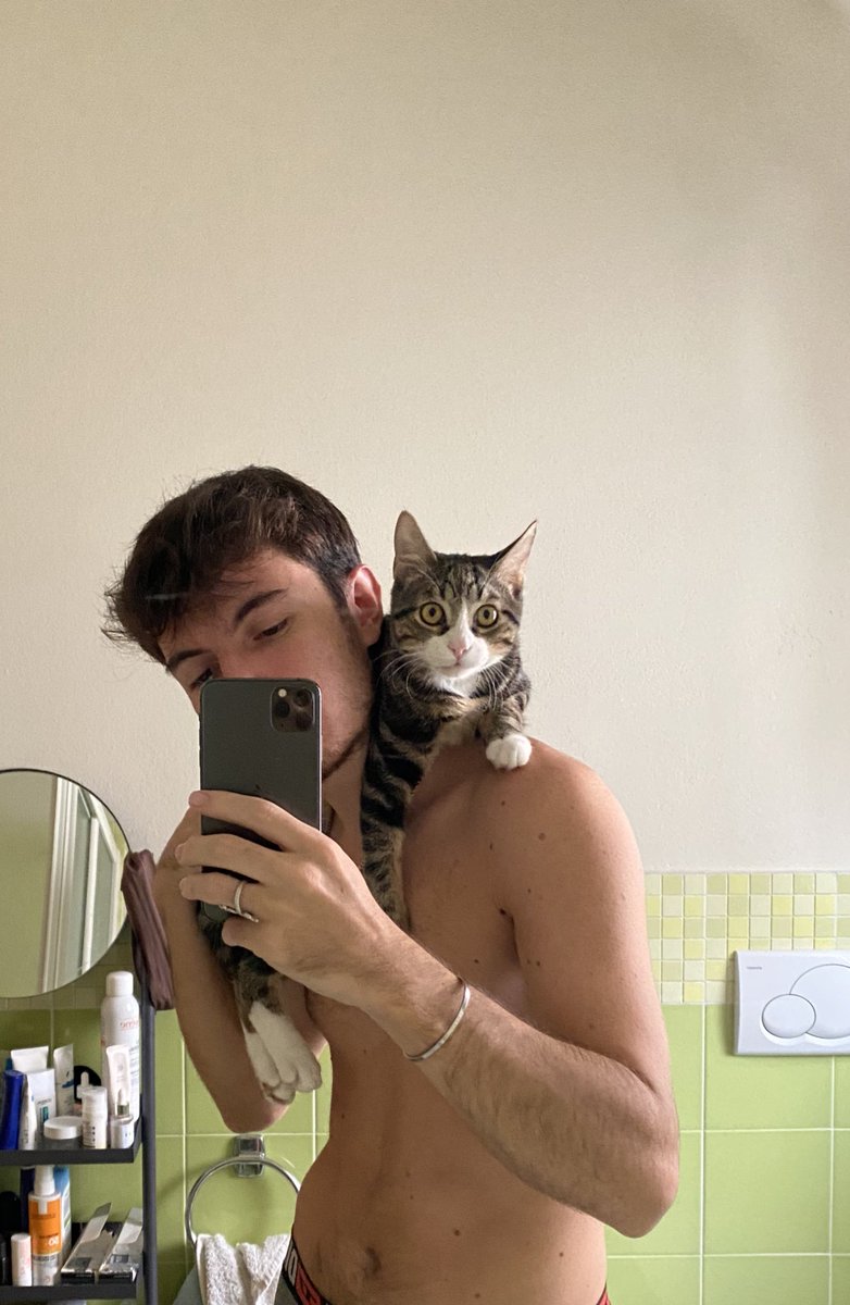🐱