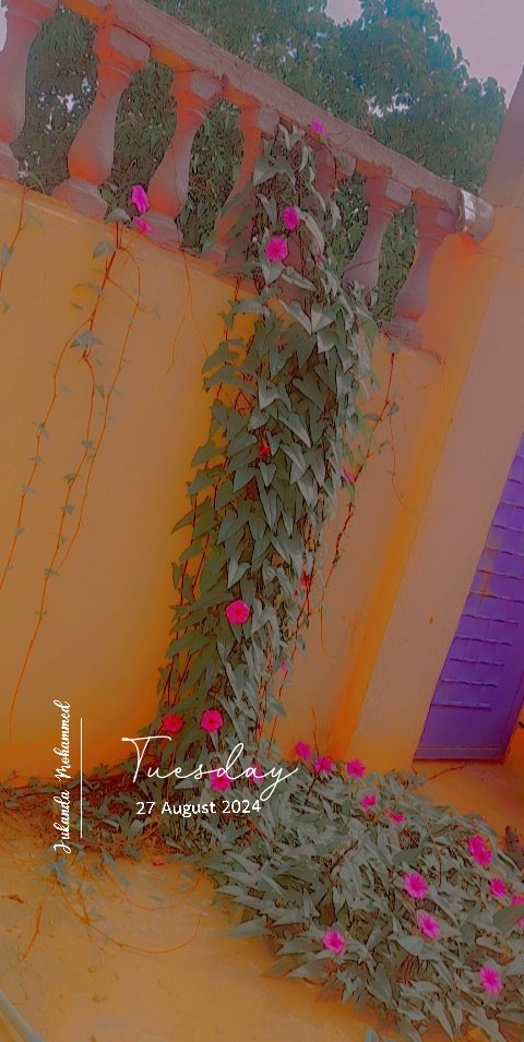 jukanda2022's tweet photo. يااارب تعود من تاني لمتنا وأيام جميلة جمعتنا 
#أبو _زيزو #أم_زيزو بيتكم فاقدكم😭😭 https://t.co/p9kIshSfTW