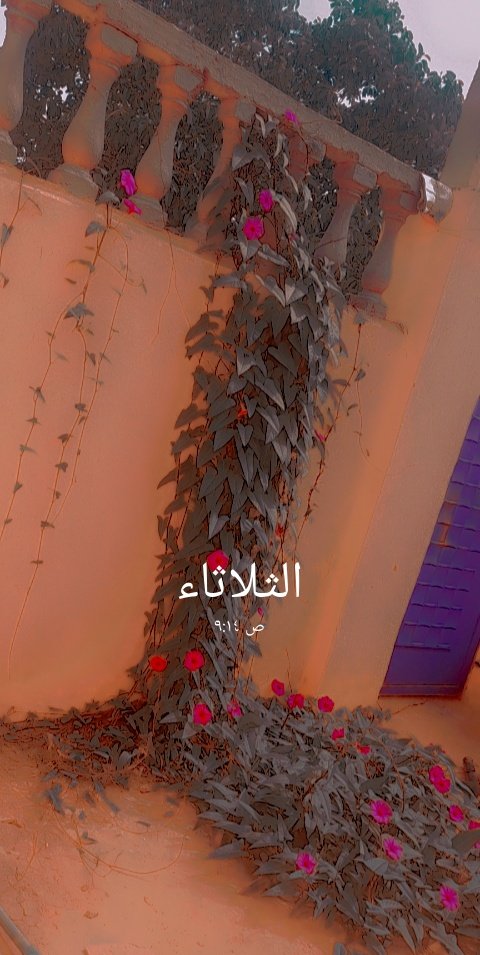 jukanda2022's tweet photo. يااارب تعود من تاني لمتنا وأيام جميلة جمعتنا 
#أبو _زيزو #أم_زيزو بيتكم فاقدكم😭😭 https://t.co/p9kIshSfTW