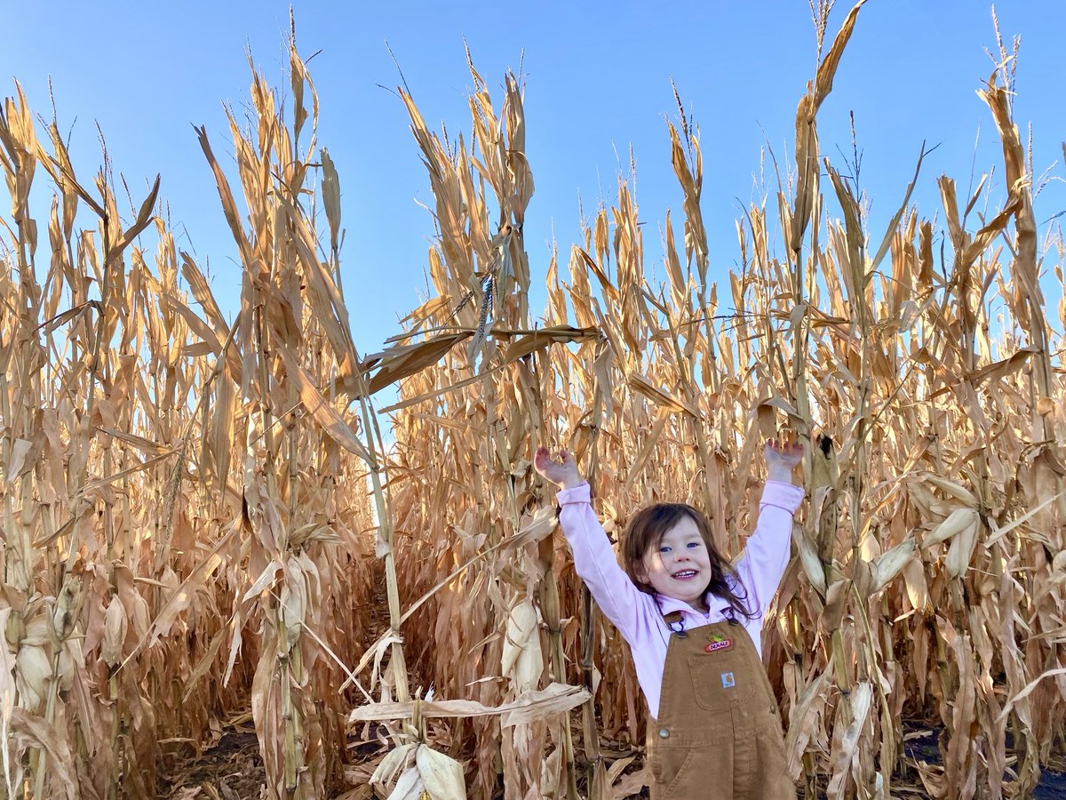 DebKAnderson's tweet photo. Reaching for new personal farm averages!!
#plantDekalbhybrids  #highestyieldsever 
⁦@Asgrow_DEKALB⁩ ⁦@SDDEKALBASGROWA⁩ ⁦@DKAS_ND_N_MN⁩ https://t.co/T4nYsGTEpo