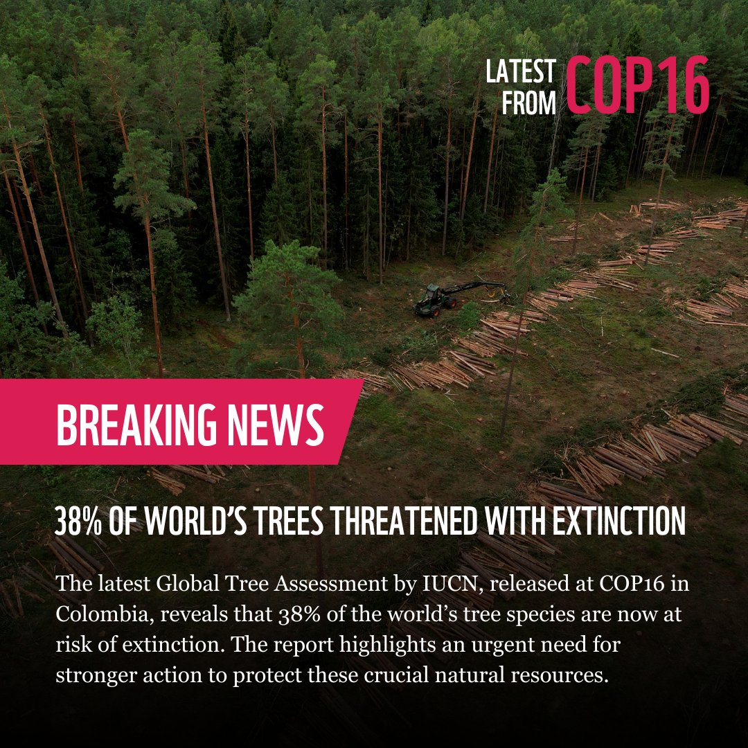 #BREAKING: 🚨 MORE than one in three tree species are threatened with extinction 🚨

The new <a href="/IUCN/">IUCN</a> Global Tree Assessment released today at #COP16Colombia reveals this alarming statistic.

We must reverse this trend. Let’s #ActForOurPlanet and push leaders to urgently act.