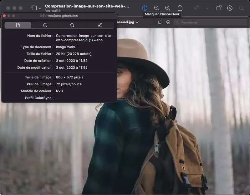 🚀 Blog : Découvrez Comment Booster la Performance de Votre Site WordPress avec une Compression d'Images Efficace ! 📸💡

Lisez l'article ici : webdispo.com/fr/comment-com…