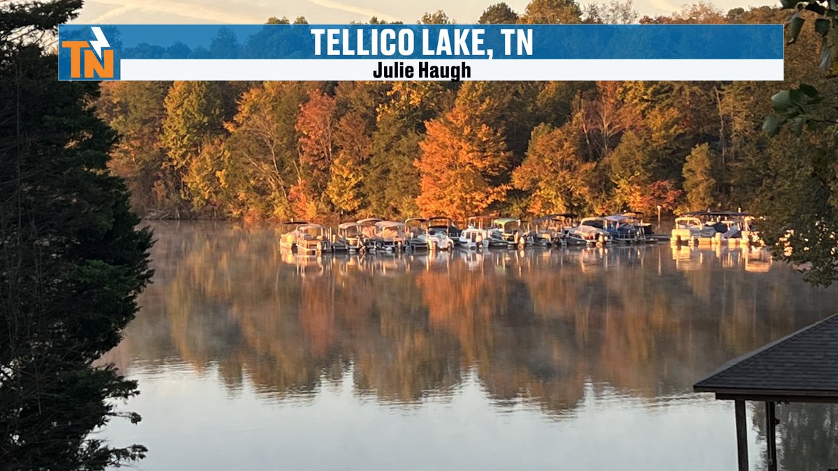 MikeWitcherTV's tweet photo. Check out the beautiful fall photos from our community!  Thanks for sharing through the eastTNweather app under Witcher's Pictures!
📸 Mike Miles
📸 Stormie Minor
📸 Julie Haugh
📸 Allison M. https://t.co/sOeYARwSCC