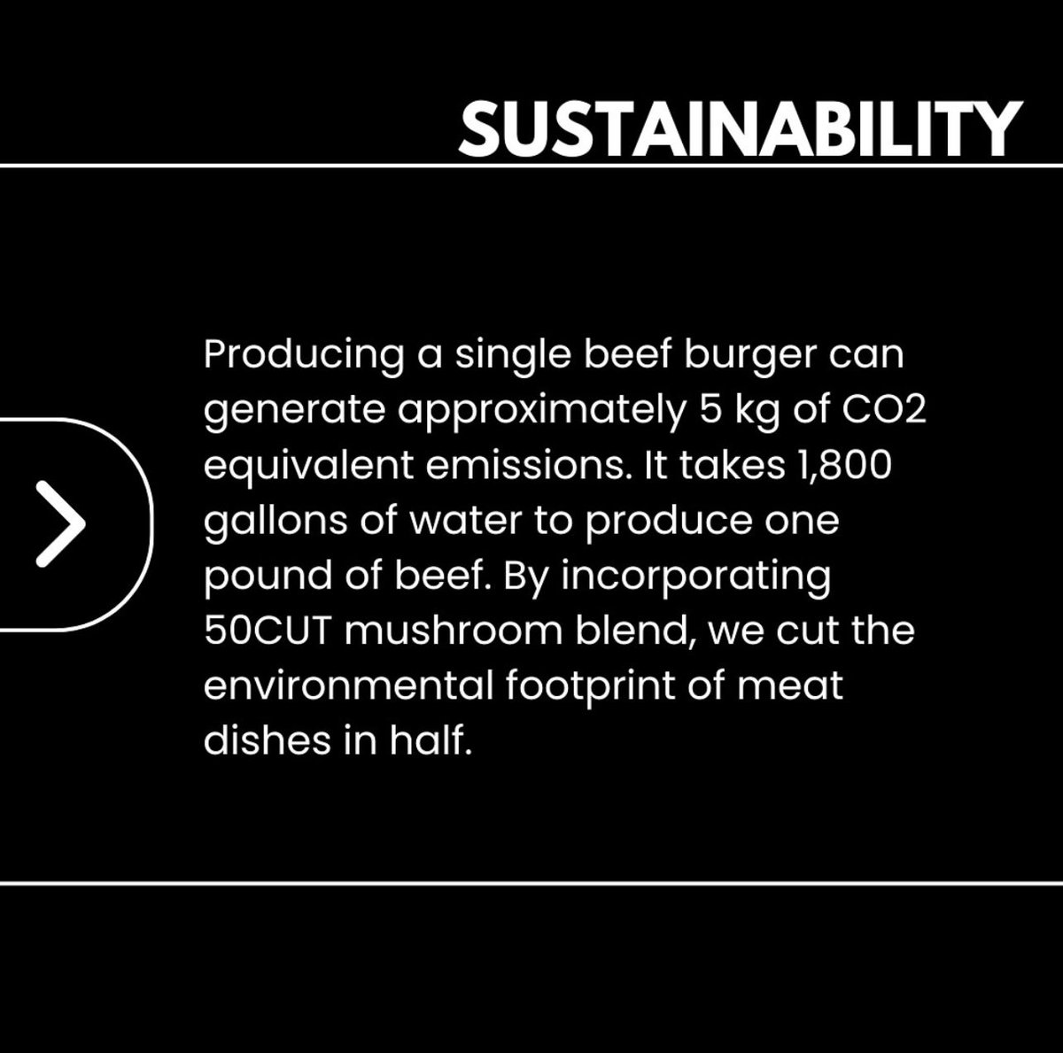 e.terra kitchen tweet media