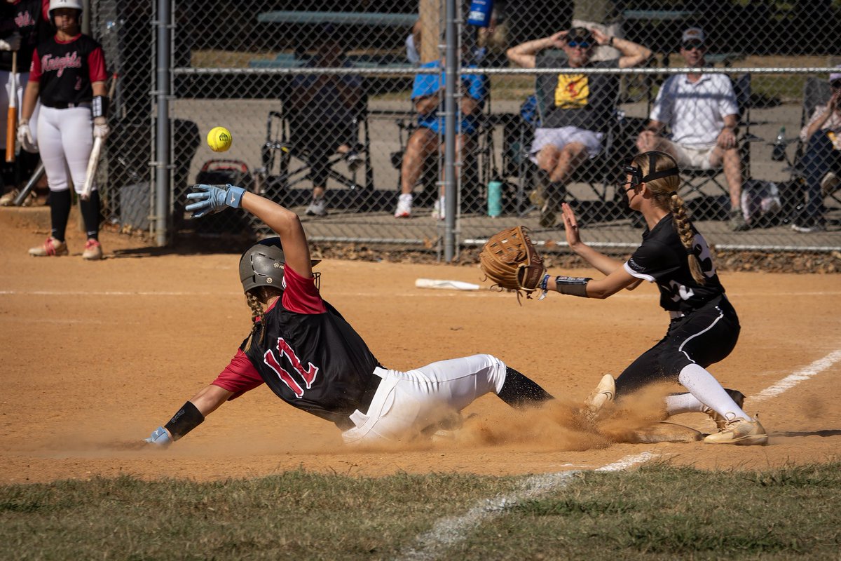 Molly Spidel tweet media