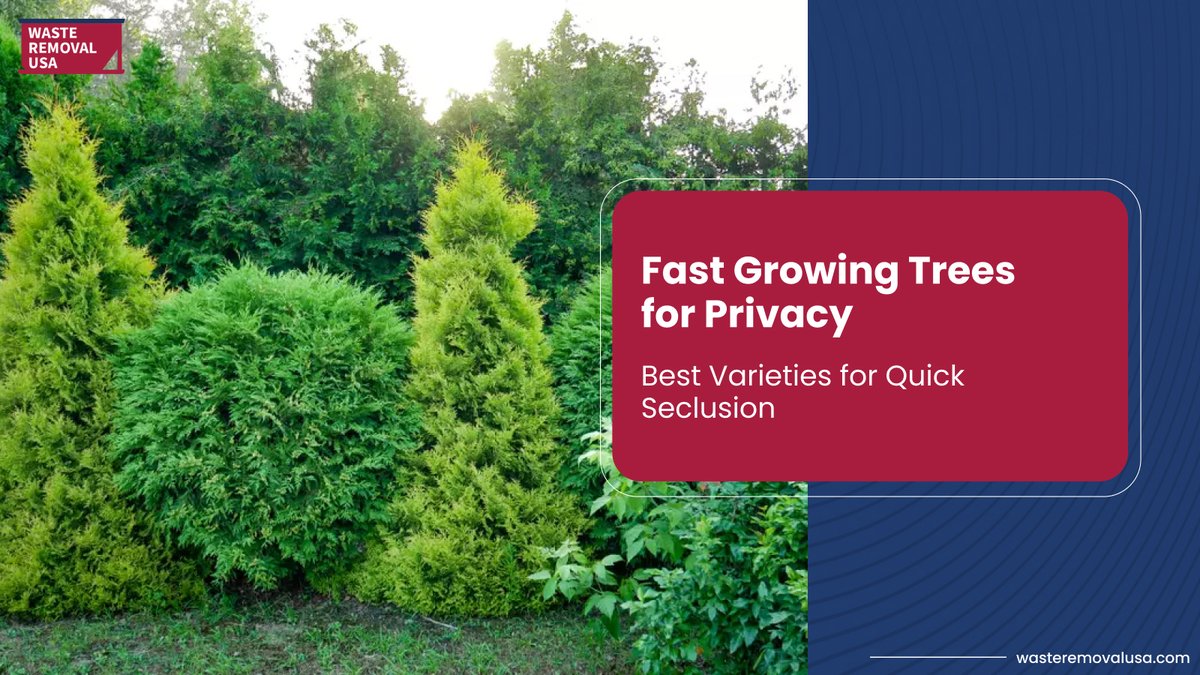 waste_usa's tweet image. When searching for a natural way to enhance your home’s privacy, fast-growing trees are an ideal solution to create secluded areas in your yard swiftly.  

wasteremovalusa.com/blog/fast-grow…  

#PrivacyTrees #privacyfence #trees #landscaping #landscapedesign #fastgrowingtrees #FastGrowth