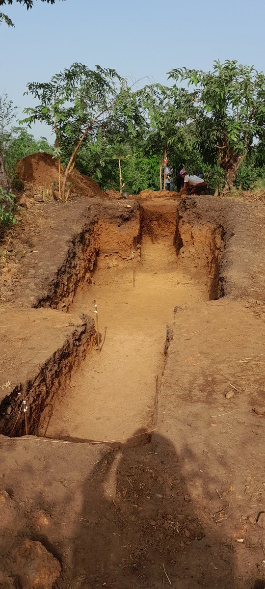 RobionBrunner's tweet photo. Depuis une semaine, nous sommes de retour à Bandjeli au centre du Togo dans le cadre du projet archéologique AFRICA @francediplo @IFTogo @UniveLomeTg. Objectif améliorer la précision chrono de l'histoire de la métallurgie du fer. @umr5608_traces @CNRS_Toulouse @Univ_Toulouse https://t.co/7I6uFvSlY2