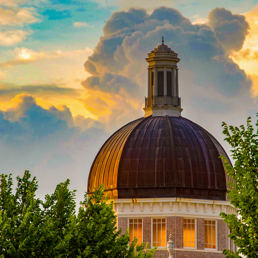 SouthernMiss's tweet image. No place like home 🫶