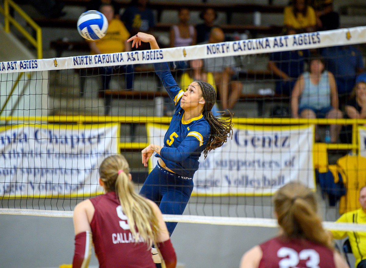 NCATAGGIES's tweet photo. Weekend sweep 👉🏽 8-4 in CAA play 👉🏽 Happy Monday, Aggies!! 

@NcatVolleyball x #AggiePride 💙💛 https://t.co/1yo8N2HqjJ