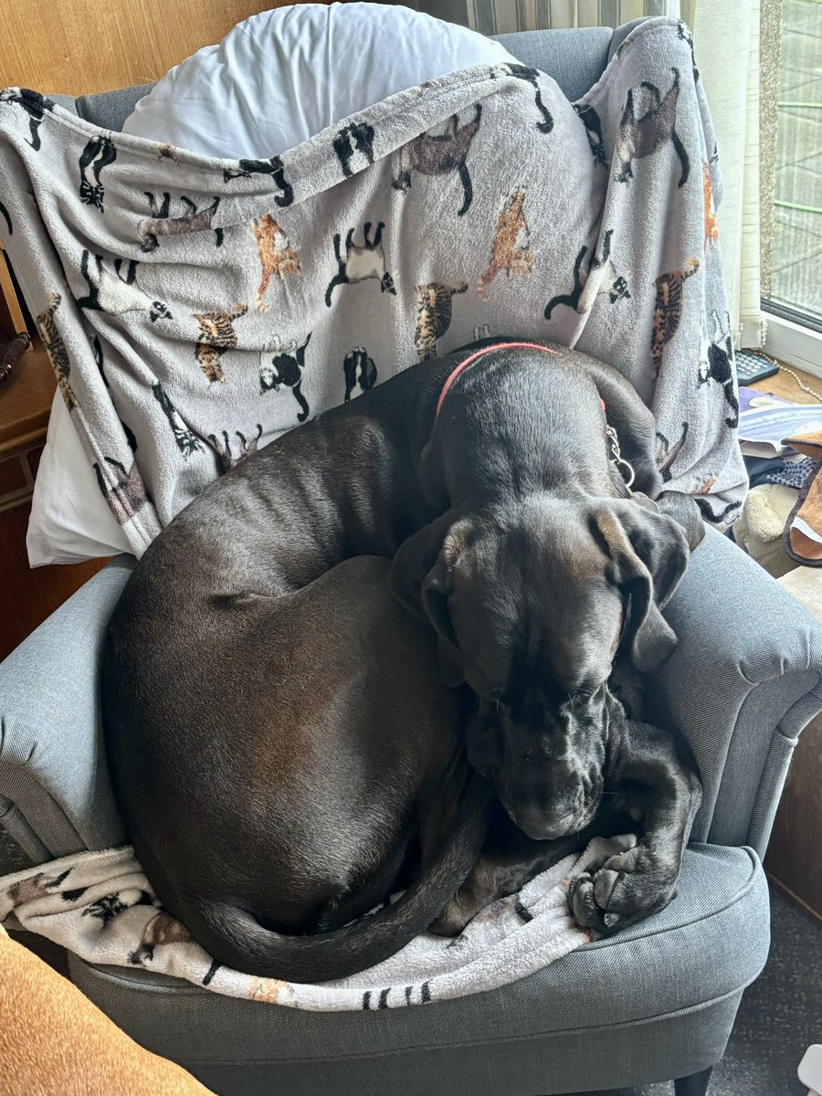 Right gran get off the chair, it’s my turn!